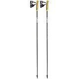 Leki Elite Carbon Nordic-Walking-Stock (Paar) Grey 110 Cm