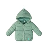 Guqmjde Winterjacke Mädchen Leichte Steppjacke Jungen Daunenjacken Warme Puffer Jacke Niedliche Wintermantel Casual Daunenmantel Kinder Steppmantel Winddicht Kapuzenjacke Freizeitjacke Grün 90