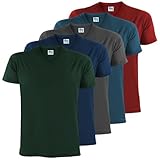 ALPIDEX Herren T-Shirts 5er Set mit V-Ausschnitt Shirts Basic Shirt Baumwolle Kurzarm Einfarbig S M L XL XXL 3XL 4XL 5XL, Größe:L, Farbe:Earth