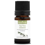 ZITRONEN-TEA TREE (Leptospermum petersonii) BIO - 5ml - Premium-Qualität Ätherisches Öl - 100% Rein, Natürlich, Chemotypisiert & Vollspektrum
