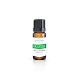 TEMPO-MV Ätherisches Eukalyptus Öl – 100 % Naturreines Öl – Ideal für Aromatherapie, Massagen & Raumduft – 10ml Glasflasche