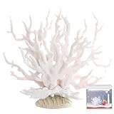 HDBHSBE Korallendekor, künstliche Korallenriff Dekor, 6, 7x2.6 '' Ornament, dekorative lebensechte Skulptur -Strandzimmer für Aquarien, Fischtanks weiß