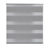Kangmusi Doppelrollo Seitenzug Duo Rollo 80 x 175 cm grau, Grau 240203
