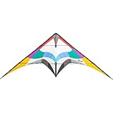 HQ Design - Maestro Lenkdrachen Zweileiner Flugdrachen Allround Drachen für Jugendliche und Erwachsene ab 14 Jahren 95x220cm inkl. Dyneemaschnüre 2x25m+Schlaufen 2-5 Bft (Maestro 4)