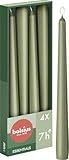 Bolsius Glatte Spitzkerzen - Grün - Set 4 Stück im Karton - Dekorative Haushaltkerzen - Brenndauer 7 Stunden - Unparfümierte - Natürliches Pflanzenwachts - Ohne Palmöl - 24,5 cm