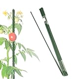 KARAT Rankhilfe Pflanzstab 150cm 10 Stück, für Kletterpflanzen, Tomaten, Gurken oder Blumen Pflanzenhalter Rankstab Stange Kletterhilfe für Zimmerpflanzen aus Kunststoff & Metall, 11mm dick