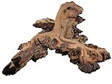 aquariumpflanzen.net Wurzel aus Mopaniholz ca. 25-40 cm, Dekoration für Terrarium