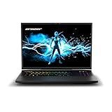 ERAZER Beast X40 43,2cm (17' Zoll 240Hz) QHD+ Gaming Notebook (Intel Core i9-13900HX, 32GB DDR5 RAM, 2TB SSD, GeForce RTX 4090 16GB GDDR6, Win 11 Home)