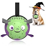 QDAN Halloween-Hundespielzeug-Fußball: Premium-Hunde-Fußbälle mit Riemen, Outdoor-Hütebälle, Spielzeug für kleine, mittelgroße Hunde, Welpen, Haustier-Geburtstagsgeschenke, 15,2 cm, Violett-Grün