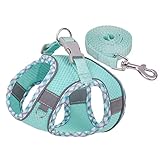 Factorys Hundegeschirr für kleine, mittelgroße und große Hunde, kein Ziehen, Welpengeschirr und Leine-Set, Verstellbar, Mint Green, Turquoise, XXS, Fischgrätmuster