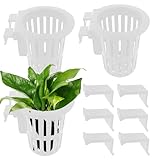 Genérico Blumentopf für Wasserpflanzen, Wasserdekoration mit Haken und Saugnapf, Zubehör für Terrarium, Garnelenteich und Zimmerpflanzen