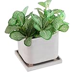 Frfik Blumentopf mit Fuß - Moderner Blumentopf mit Tablett | Sukkulentenbehälter Kreativer Pflanztopf für Garten, Balkon, Indoor, Outdoor