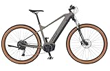 Prophete DICE 3.0 E-MTB 29' – AEG 36V Mittelmotor 250W, Shimano 10-Gang Kettenschaltung, 110 km Reichweite, Suntour XCT Federgabel, Hydraulische Scheibenbremsen, MTB Sattel, Grau/Schwarz