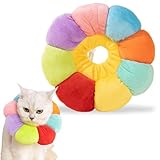 Halskrause Katze, Katzen Halskrause Verstellbares Halsband, Leckschutz Katze für Katzen und Kleine Hunde Nach Operation, Farbe Weiche Sonnenblume für die Genesung von Katzen, Größe M