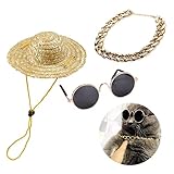 COLLBATH 3St Hund goldene Halskette hundesonnenbrille Dog Sunglasses hundegeschenke Haustierhut hundesnack Strohhut für Haustiere Katzen-Sonnenbrille Hundesachen Retro-Strohhut Tierornament