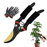 Hochleistungs-Gartenschere für Äste bis 3 cm – Extra scharfe, rostfreie Klinge aus Shirogami-Stahl – Ergonomisch – Baumschere für Gartenarbeit | Handschere Für Und Blattschneiden