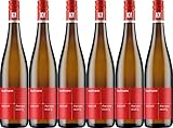 Kaufmann (ehem. Hans Lang) Rheingau Riesling Kabinett 2024 Lieblich Demeter Bio (6 x 0.75 l)