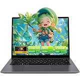 Auusda Laptop 14 Zoll 2560 x 1440 Auflösung,Celeron N5105(Bis zu 2.9GHz)8GB DDR4 256GB SSD,Student/Business Notebook mit Fingerprint Recognition,HDMI,USBx2,Micro SD,8TB Upgrade Erweiterbarer Speicher