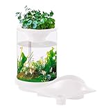 Kleines Betta-Aquarium, kleines Aquaponic-Aquarium, Selbstversorgendes, leises Fischglas mit Filtersystem - Schreibtisch-Hydrokultur-Aquarium-Ökosystem für Wohnung, Fischgeschäft, Heimdekoration