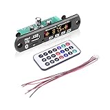Tragbarer DVD-Player 2 * 25W Stereo Decoder Board -Verstärker -Auto Fm Radiomodul Bluetooth 5.0 MP3 Freiheitsunterstützungsrekorder
