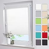Vkele Plissee Klemmfix Faltrollo ohne Bohren (Weiß, B75cm x H200cm) Sichtschutz und Sonnenschutz, Plissee Rollo Jalousie für Fenster und Tür