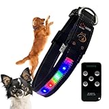 Leuchthalsband für Hunde, wiederaufladbar und wasserdicht, verstellbares Halsband mit 7 Leuchtmodi für kleine, mittelgroße und große Hunde (L)