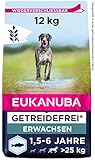 Eukanuba Hundefutter getreidefrei mit Fisch für große Rassen - Trockenfutter für ausgewachsene Hunde, 12 kg