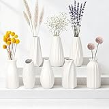 JBER 8 Kleine Vasen Deko Satz - 13cm Weiße Blumenvase Matte Keramik Vase für Pampasgras, Trockenblumen, Modernes Boho Skandinavische Home Dekor Vase, für Haushalts- und Hochzeitstisch-​ Dekoration