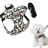 Hundegeschirr Reflektierend mit Leine, Atmungsaktiv Brustgeschirr, Katzengeschirre Air-Mesh, Hunde Geschirr, Verstellbare Welpengeschirr für Kleine Mittel Haustiere (Schwarz)