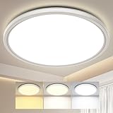 Swoieltr Deckenlampe LED Ultradünne Deckenleuchte mit Fernbedienung Dimmbar (3000K-6500K), 24W 2800LM, IP44 | Ø30cm (2,4cm) | Küchenlampe, Deckenleuchten Für Wohnzimmer, Schlafzimmer, Badezimmer