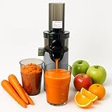 JuiceInstant Kompakter Entsafter für Obst und Gemüse, kaltgepresst, elektrisch, BPA-frei, mit Sieb, auslaufsicher, langsamer Entsafter, vitaminkonserviert (Grau)