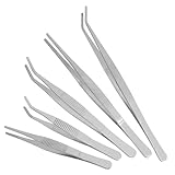 Levemolo 5 Stück Teiliges Edelstahl Präzisionspinzetten für Sukkulenten Pflanzpflege Feine Spitze Robust Vielseitig für Miniaturpflanzen und Moos Gestaltung