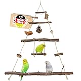 Vogelgaleria® Vogelspielplatz Vogelschaukel aus Naturholz | XXL Wellensittich Schaukel | kleines Papageienspielzeug | Spielzeug Nymphensittich | Wellensittich Spielplatz hängend