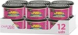 California Car Scents 8000034 Duftdosen Kirsche 12 Dosen inkl. 12Deckel, Violet, Set of 12