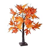 Lioggyet Herbstdekoration, Ahornblatt-Lichter mit 24 LEDs, Lichtbaum, 60 cm, mit Herbstlaub-Dekoration für den Herbsttisch