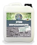 MY-BIRDY Steinimprägnierung Imprägniermittel Versiegelung Stein Beton Pflastersteine Fassade gegen Grünbelag und Einschmutzung Transparent Lösemittelfrei PFC-frei Atmungsaktiv (5 Liter)