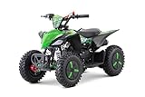 Nitro Motors Replay Mini Quad 49cc 2 Takt Kinderquad ATV 6 Zoll Snowy Profile L Reifen Alu Easy Starter stufenlos drosselbar Automatik Kette Scheibenbremsen Sportauspuff bis 40 kmh (grün)