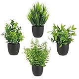 4er Set Künstliche Pflanzen im Topf – Fake Plant für stilvolle Raumgestaltung – Plastik Pflanze in naturgetreuer Optik – Deko Pflanzen für Schreibtisch – Kunstpflanze klein, pflegeleicht & langlebig.