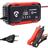 Trickle Ladegerät für Motorradbatterie, Rinnle Ladegerät | Tragbares Smart 12V Battery Rinnle Ladegerät | Multifunktionale Automobilwerkzeuge, Auto Desulfator für Familie, Freunde, Zuhause