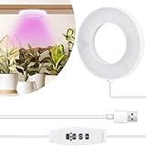 Pflanzenlampe LED,Vollspektrum Pflanzenlicht für Zimmerpflanzen,LED Grow Lampe mit USB Adapter,LED Grow Light,LED-Wachstumslicht mit Zeitschaltuhr,Wachstumslampe für Pflanzen,Gemüse,Blume,10Helligkeit