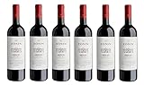 6x 0,75l - 2022er - Zonin - Merlot - Friuli D.O.P. - Friaul - Italien - Rotwein trocken