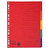 Falken 20er Pack Karton-Register überbreit für DIN A4+ 24,5 x 30 cm volle Höhe mit Organisationsdruck 5-teilig vollfarbig zur Ablage von Prospekt- und Klarsichthüllen