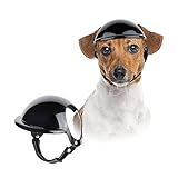 NAMSAN Haustierhelm Coole Motorrad Hundehelm Kein Druck Auf das Ohr Einstellbar Hundehüte Kopfschutz Hundeschutzhelm für Radfahren Outdoor-Aktivitäten (Schwarz)