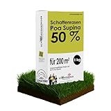 Samen Schwarzenberger I Poa Supina Rasensamen I 1 kg für 200 m² I 50% Poa Supina Anteil I dichter Rasen ohne Moos I schattenverträglich & tiefschnittverträglich I Schattenrasen