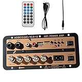 Auto Verstärker Platine, High Power Amplifier Board - 12V und 24V Digital Digital Audio Amplifier Modul, Wireless Speaker Board für Kinokonferenzen, aber