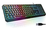 KLIM Chroma Gaming Tastatur QWERTZ DEUTSCH mit Kabel USB - NEU - Langlebig, Ergonomisch, Wasserdicht, Leise Tasten - RGB Gamer Tastatur für PC Mac Xbox One X PS4 Tastatur - Schwarz
