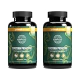 Primal Harvest® Curcuma Curcuma Extrakt mit BioPerine® Bio-Kurkuma-Pulver 95% Curcuminoide Laborgeprüft 2er-Pack (120 Kapseln)
