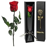 Yamonic Infinity Rose Rot mit Stiel Geschenke für Frauen,Echte Rose Geburtstagsgeschenk für Frauen Ewige Rose in Geschenkbox,Konservierte Blume zum Weihnachten Mama, Deko Geschenk,Geschenke für Mama