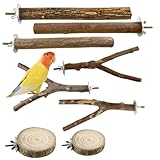 QUTHZZH 8 Stück Natur Sitzstangen Set für Vögel, Vogelspielzeug Holz Sitzstangen für Wellensittiche, Nymphensittich Spielzeug, Vogel zubehör Vogelspielzeug für Kanarienvogel Agaporniden