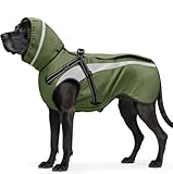 Oslueidy Hund Regenmantel wasserdichte Regenmäntel für Hunde Regenjacken mit Kapuze Haustier Regen Poncho Mantel für kleine mittlere große Hunde Welpen S-XXL (Grün, L)